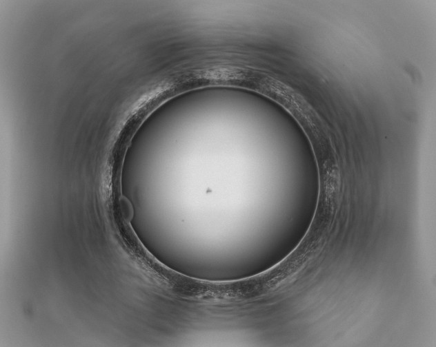 X0000112060727200908111411