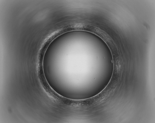 X0000112060728200908111411