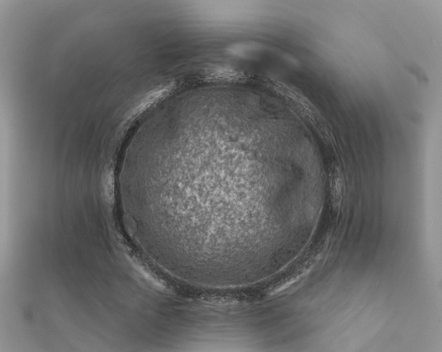 X0000112060729200908111411