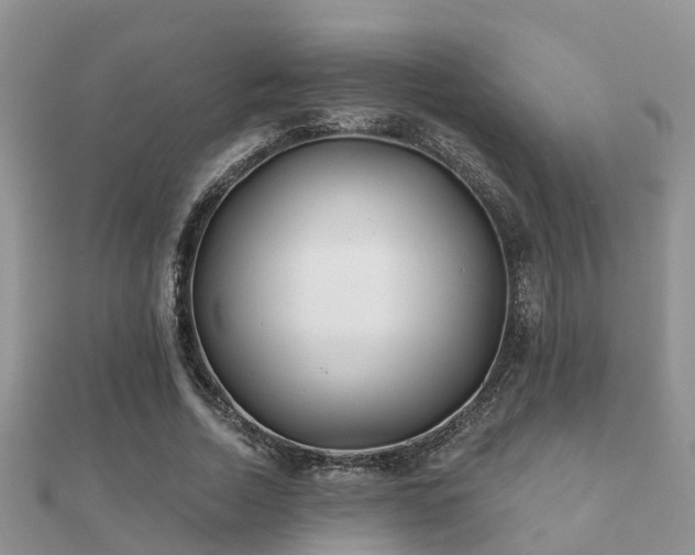 X0000112060730200908111411