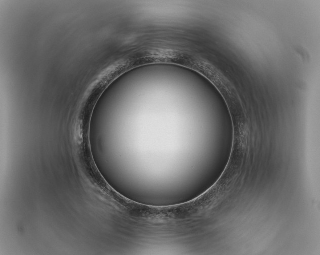 X0000112060731200908111411