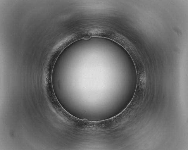 X0000112060732200908111411