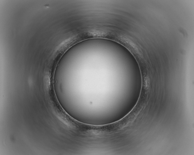 X0000112060733200908111411