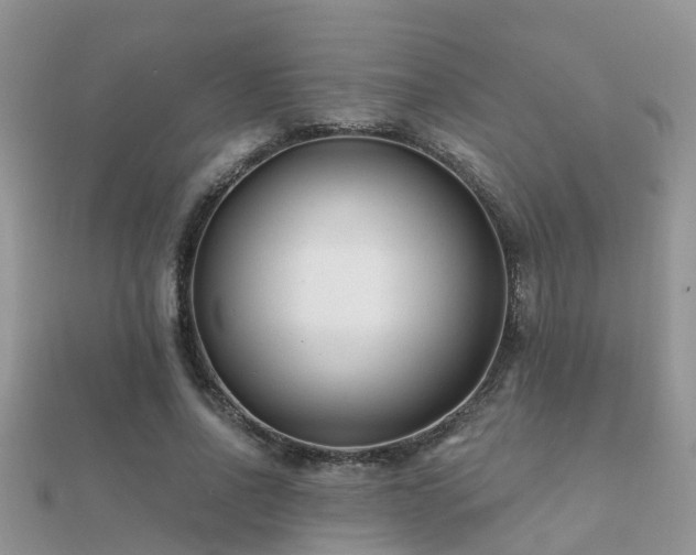 X0000112060734200908111411