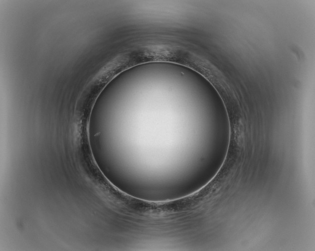 X0000112060735200908111411