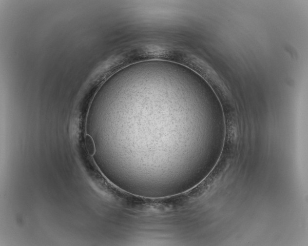 X0000112060736200908111411