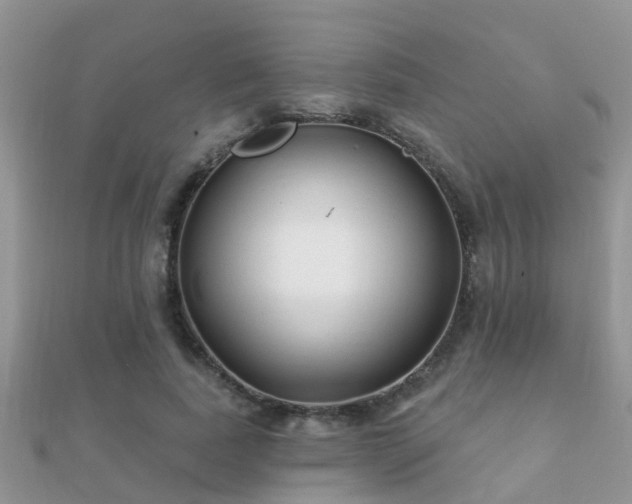 X0000112060739200908111411