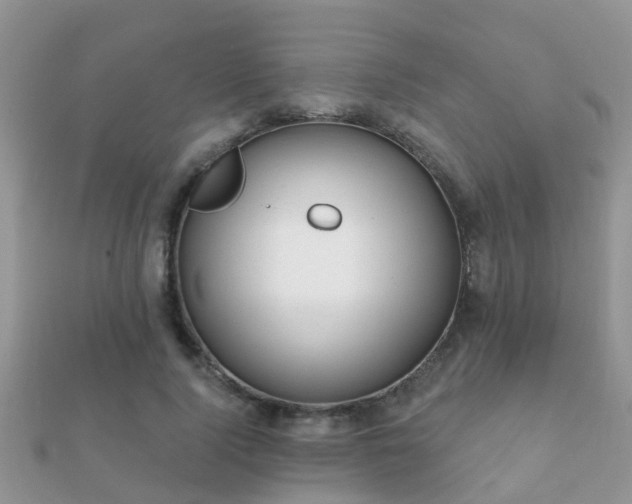 X0000112060740200908111411