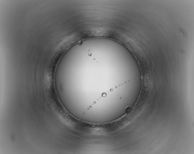 X0000112060741200908111411
