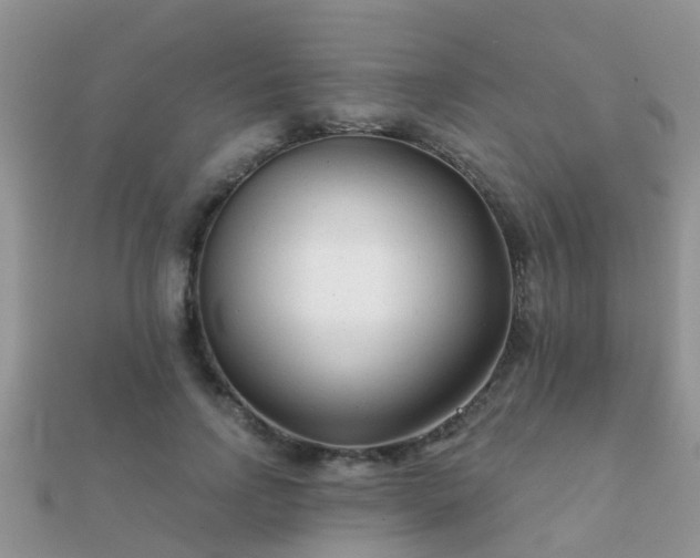 X0000112060742200908111411