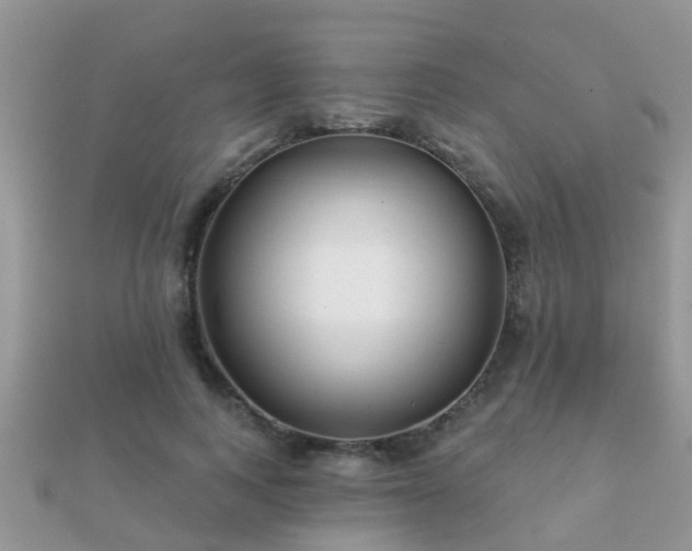 X0000112060743200908111412