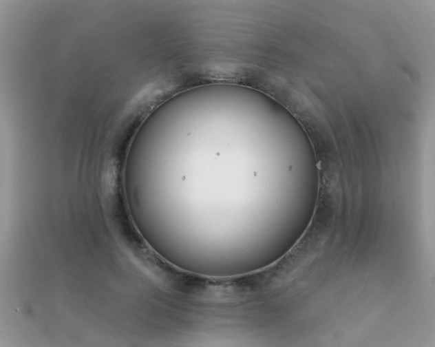 X0000112060744200908111412