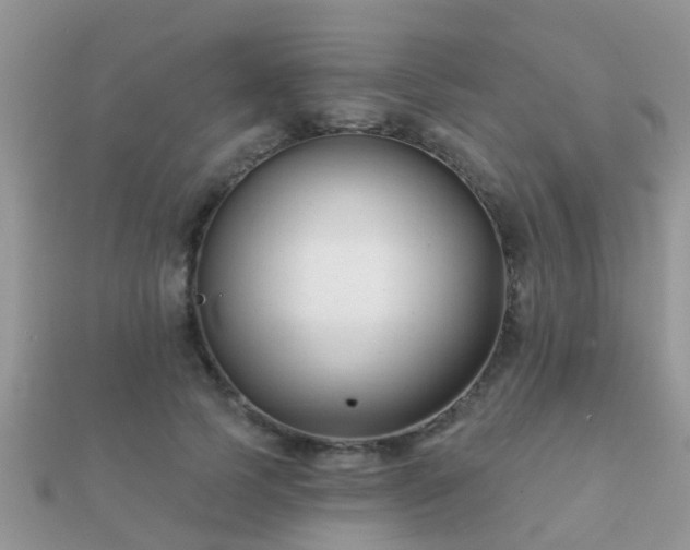 X0000112060745200908111412