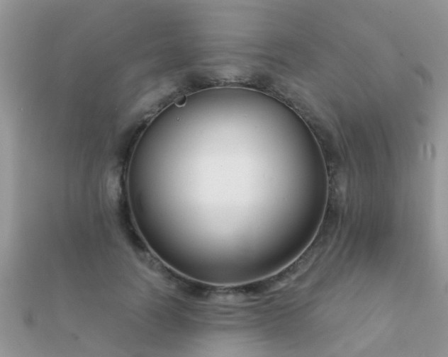 X0000112060746200908111412