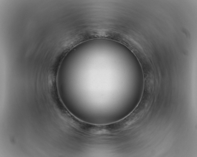 X0000112060747200908111412