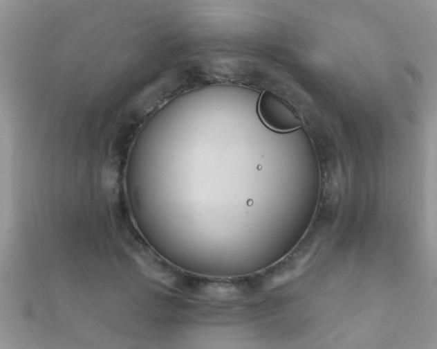 X0000112060749200908111412
