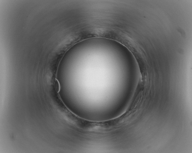 X0000112060750200908111412