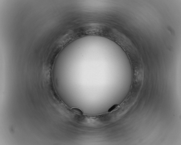 X0000112060753200908111412