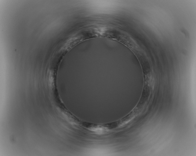 X0000112060754200908111412