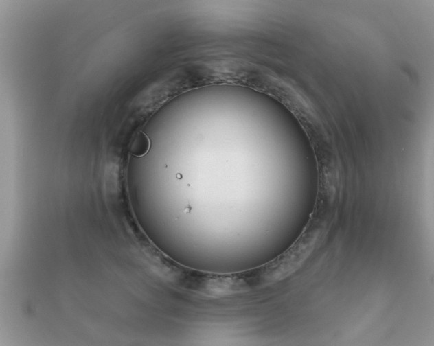 X0000112060757200908111412