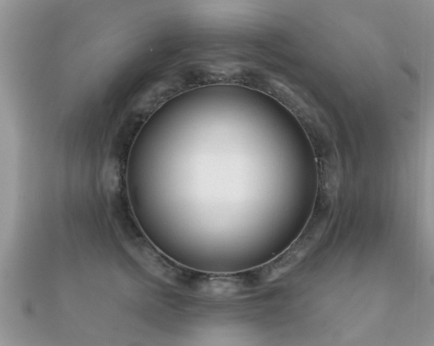 X0000112060758200908111412