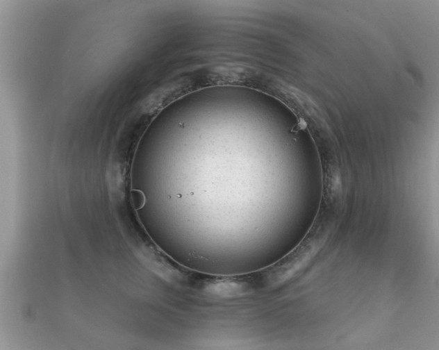 X0000112060759200908111412