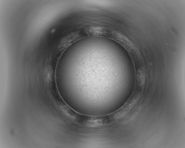 X0000112060760200908111412
