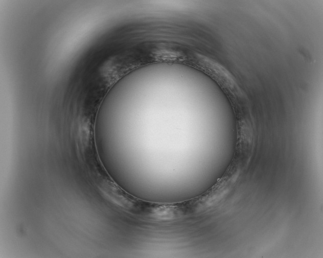 X0000112060761200908111412