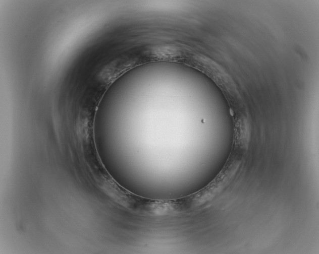 X0000112060762200908111412