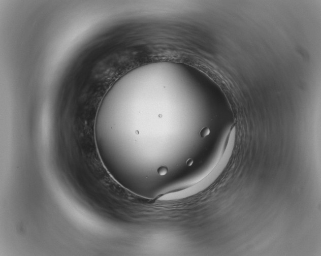 X0000112060764200908111412