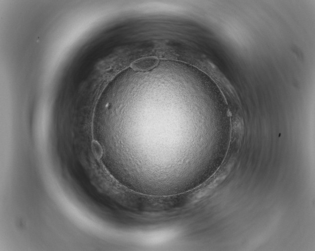 X0000112060765200908111412