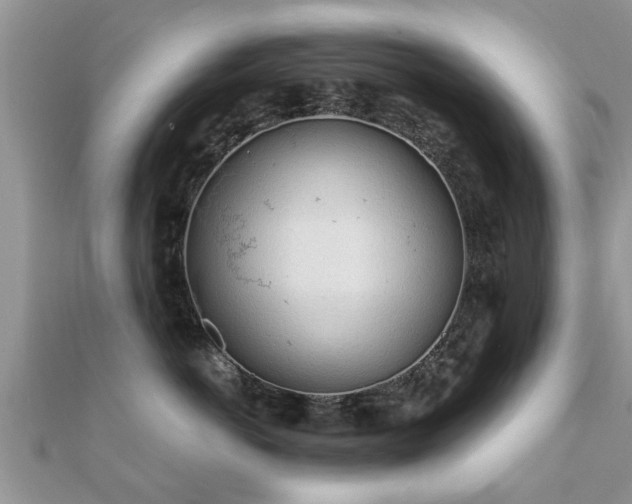 X0000112060766200908111412
