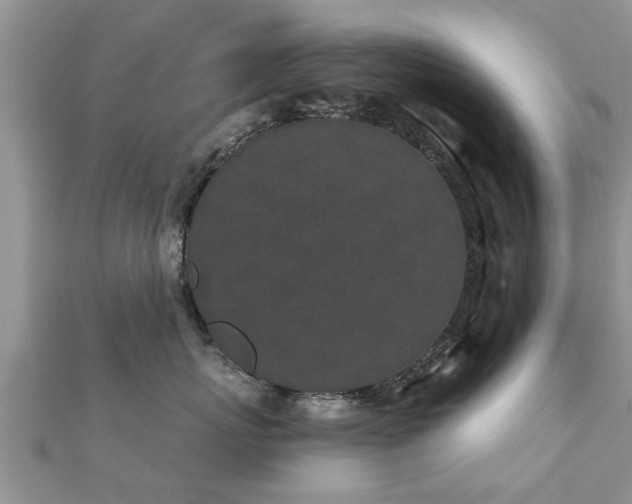X0000112060767200908111412