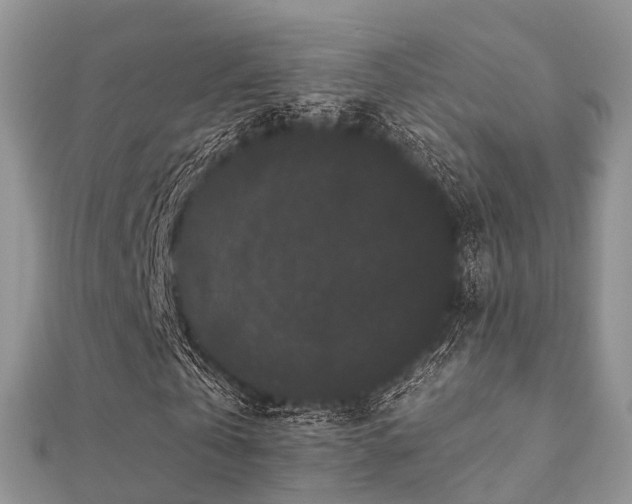 X0000112060769200908111411