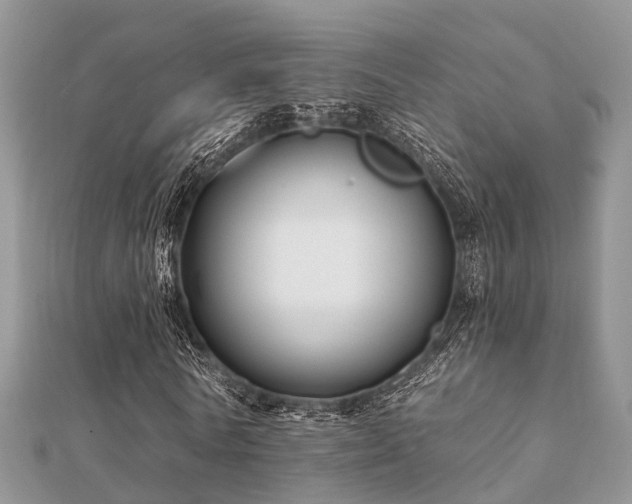 X0000112060770200908111411