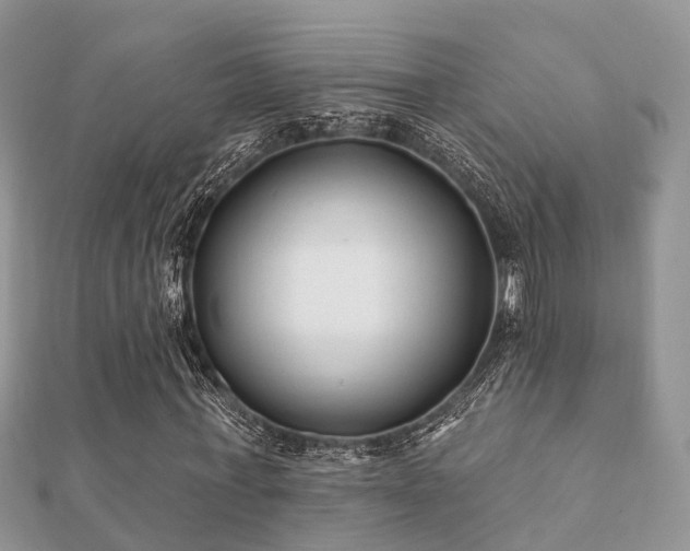 X0000112060771200908111411