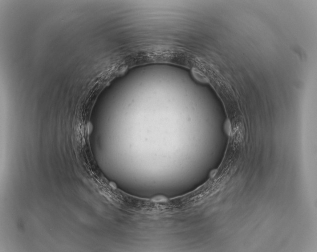 X0000112060772200908111411