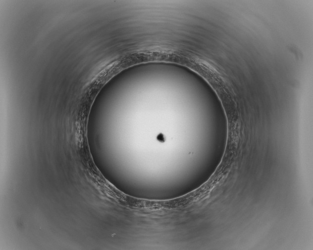 X0000112060774200908111411