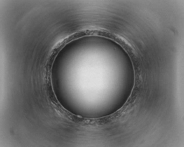 X0000112060775200908111411