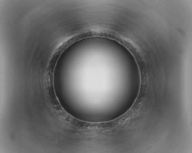 X0000112060776200908111411