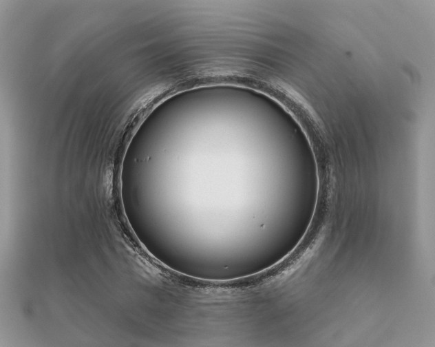 X0000112060777200908111411