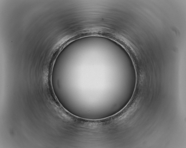 X0000112060778200908111411