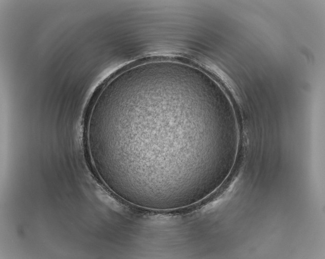 X0000112060779200908111411