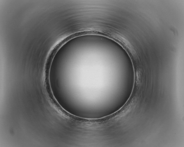 X0000112060780200908111411