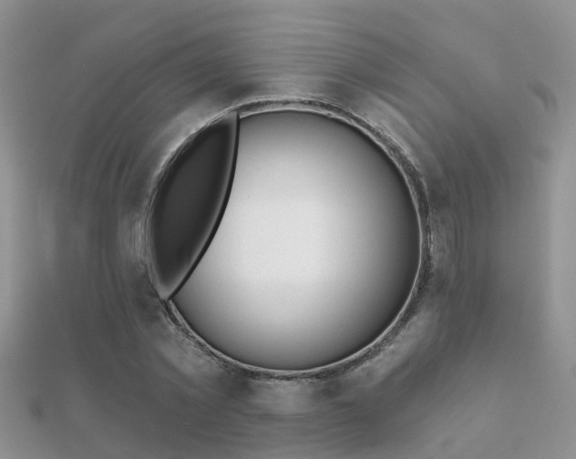 X0000112060781200908111411