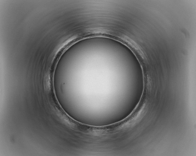 X0000112060782200908111411