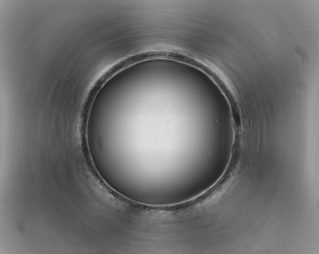 X0000112060783200908111411