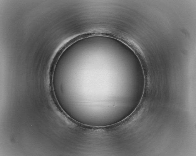 X0000112060784200908111411