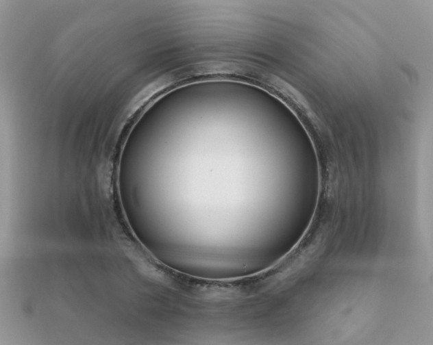 X0000112060786200908111411
