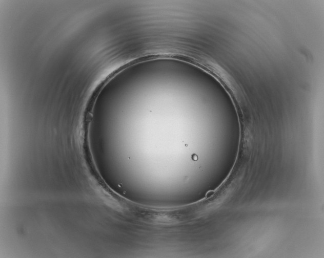 X0000112060787200908111411